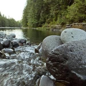 Meet your Posher, Marjorie